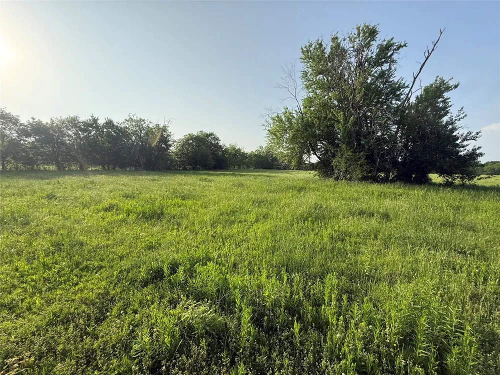 County Road 3528 Saltillo, TX 75478
