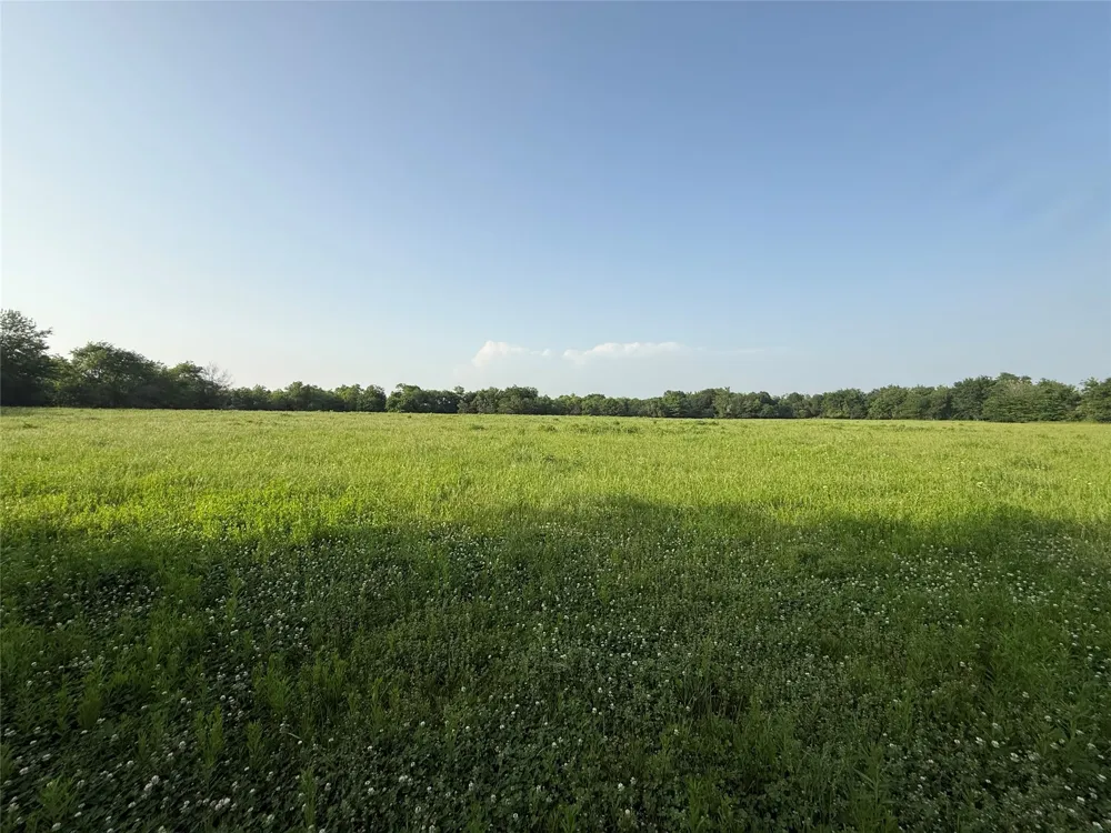 County Road 3528 Saltillo, TX 75478
