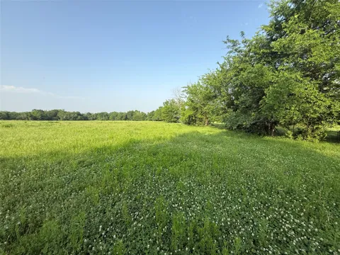 County Road 3528