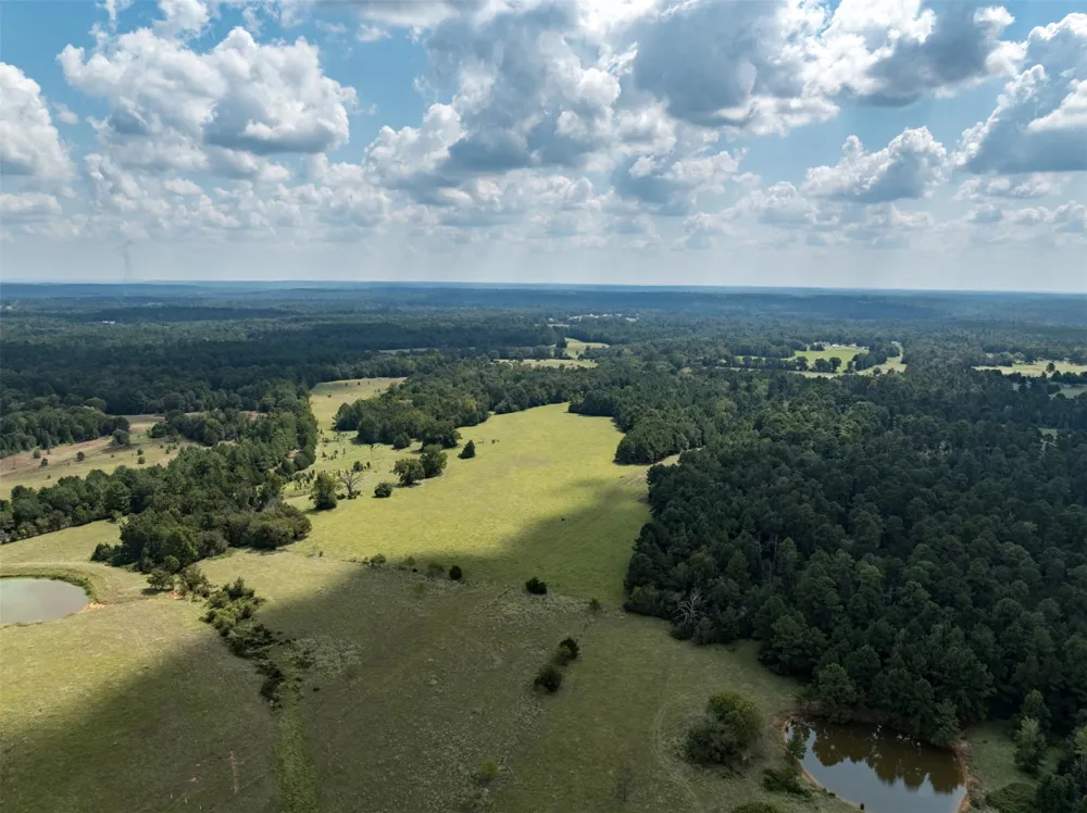 An County Road 153 Palestine, TX 75801