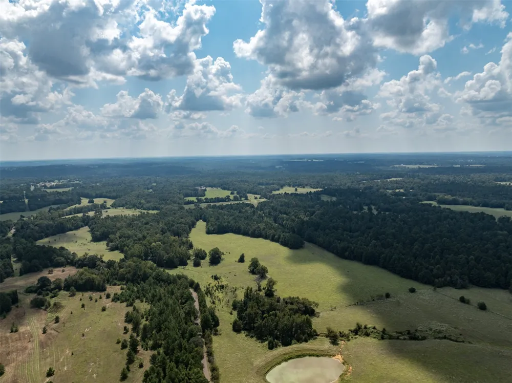 An County Road 153 Palestine, TX 75801