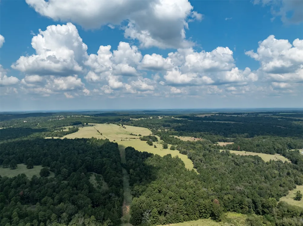 An County Road 153 Palestine, TX 75801