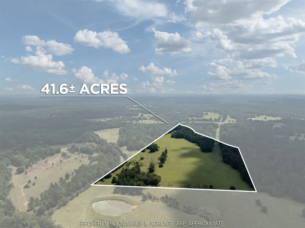 An County Road 153 Palestine, TX 75801