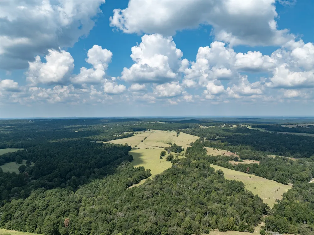 An County Road 153 Palestine, TX 75801