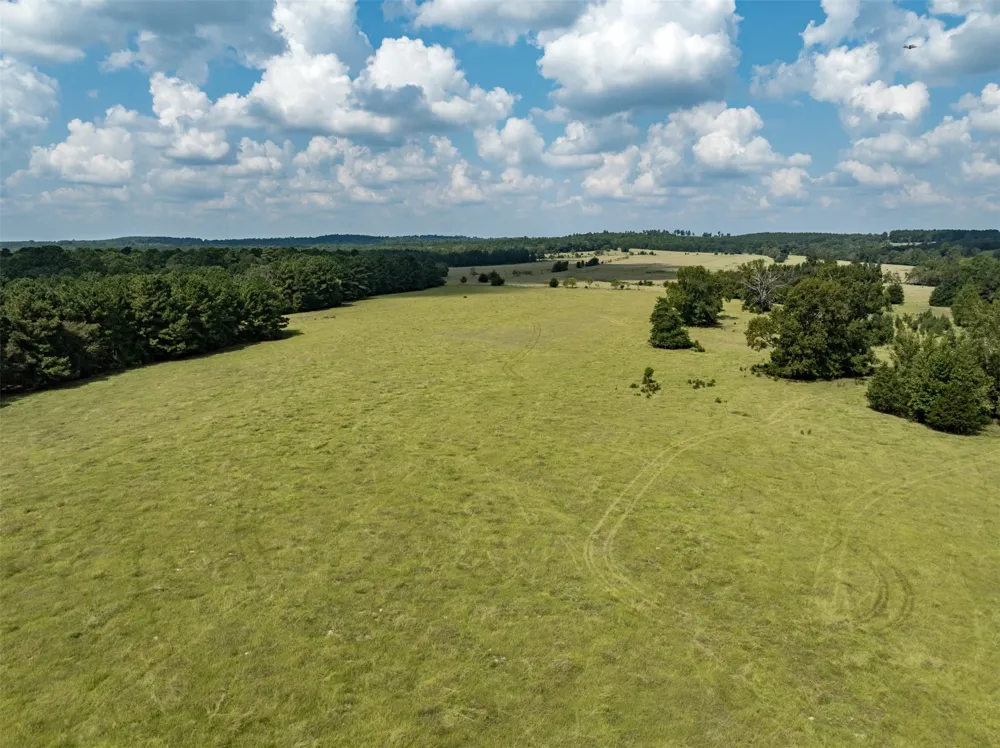 An County Road 153 Palestine, TX 75801