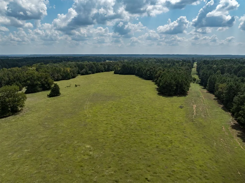 An County Road 153 Palestine, TX 75801