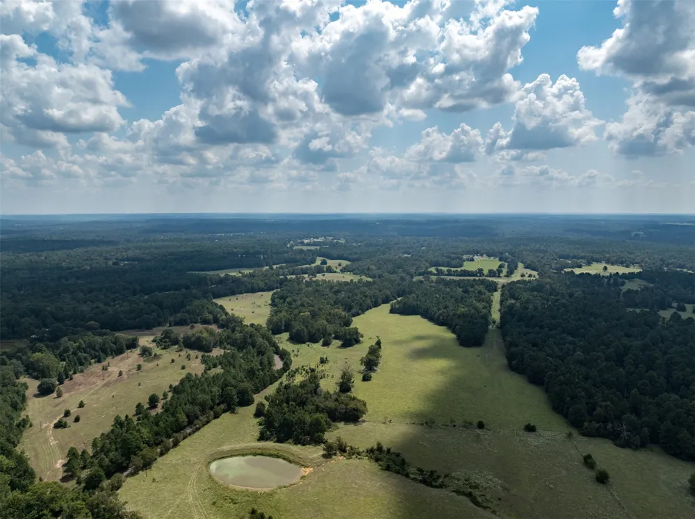 An County Road 153 Palestine, TX 75801