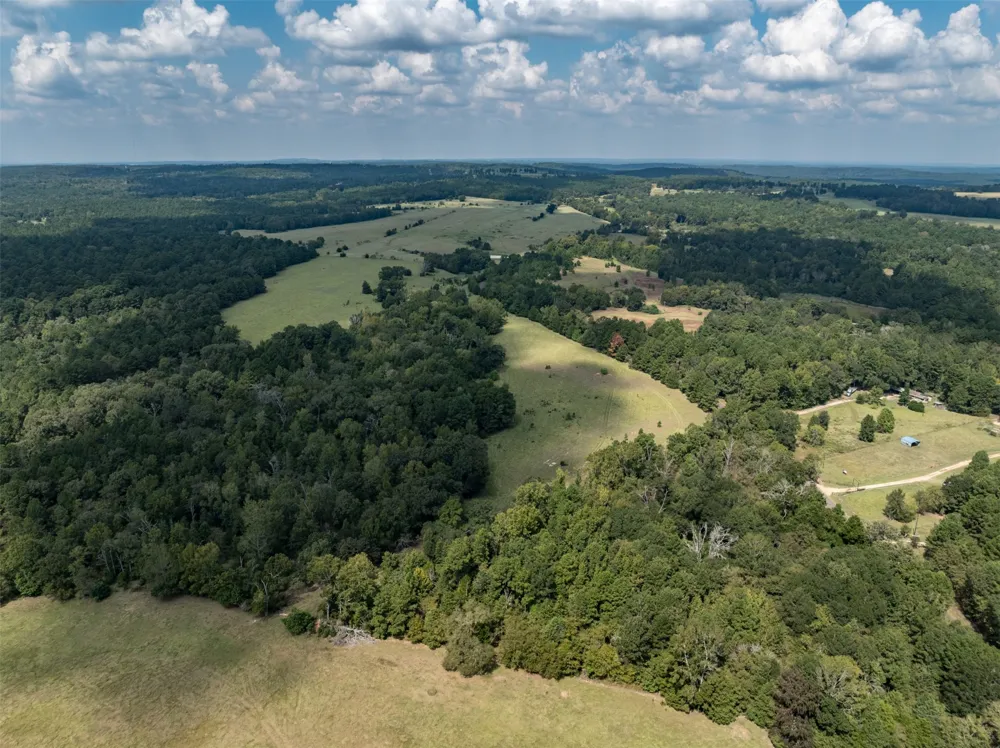An County Road 153 Palestine, TX 75801