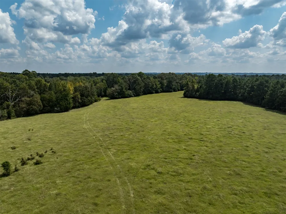 An County Road 153 Palestine, TX 75801