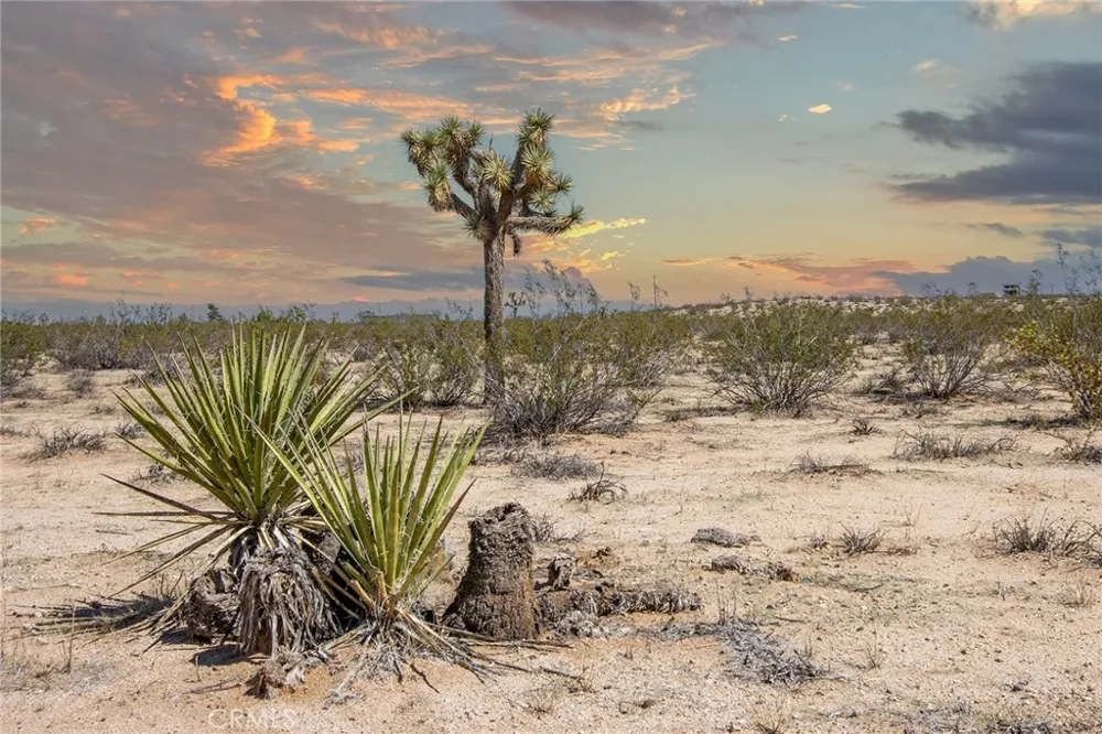 Sunny Sands Joshua Tree, CA 92252