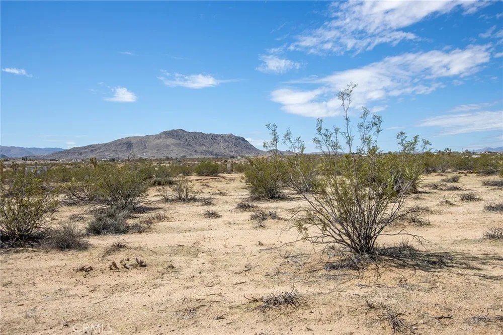 Sunny Sands Joshua Tree, CA 92252