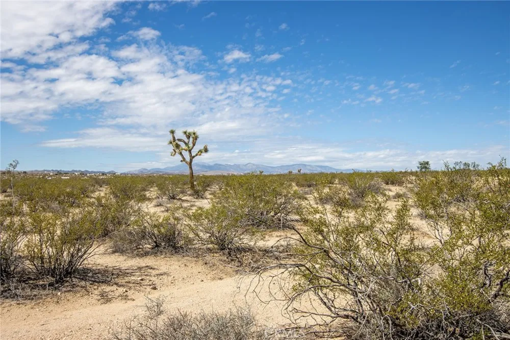 Sunny Sands Joshua Tree, CA 92252