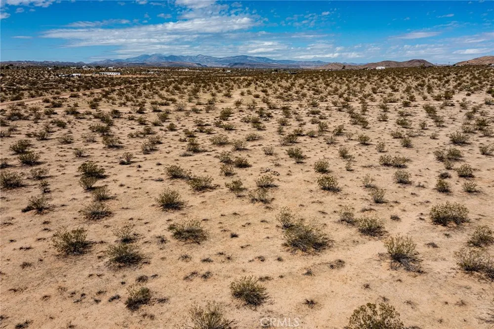 Sunny Sands Joshua Tree, CA 92252