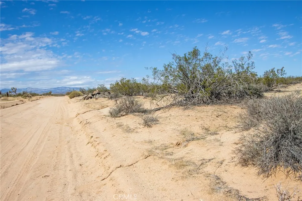 Sunny Sands Joshua Tree, CA 92252