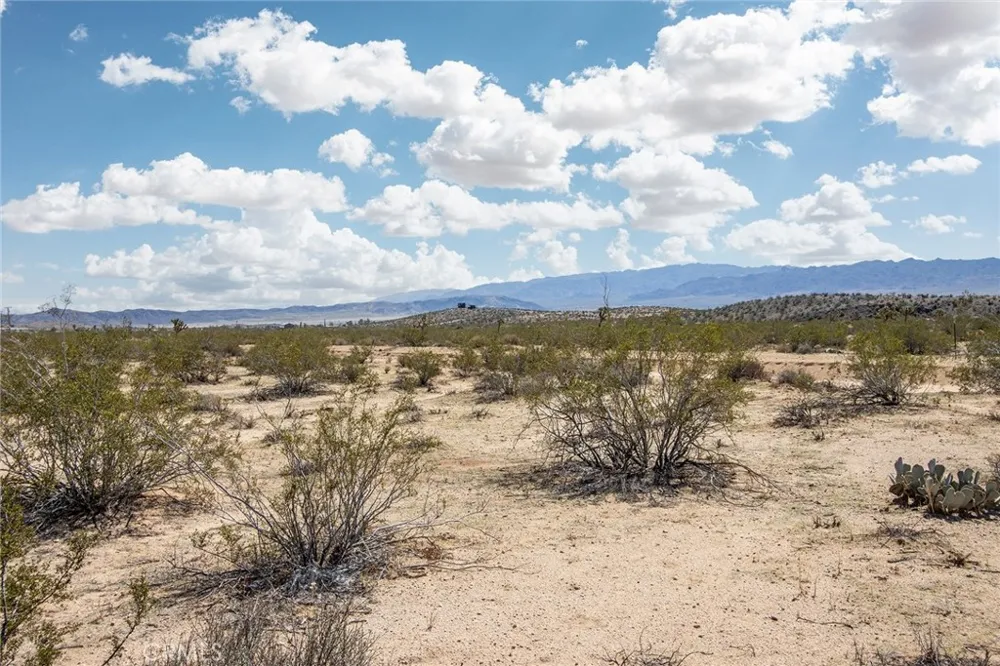 Sunny Sands Joshua Tree, CA 92252