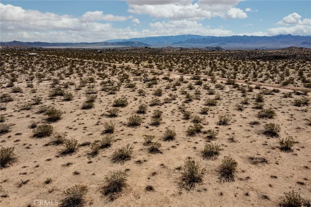 Sunny Sands Joshua Tree, CA 92252