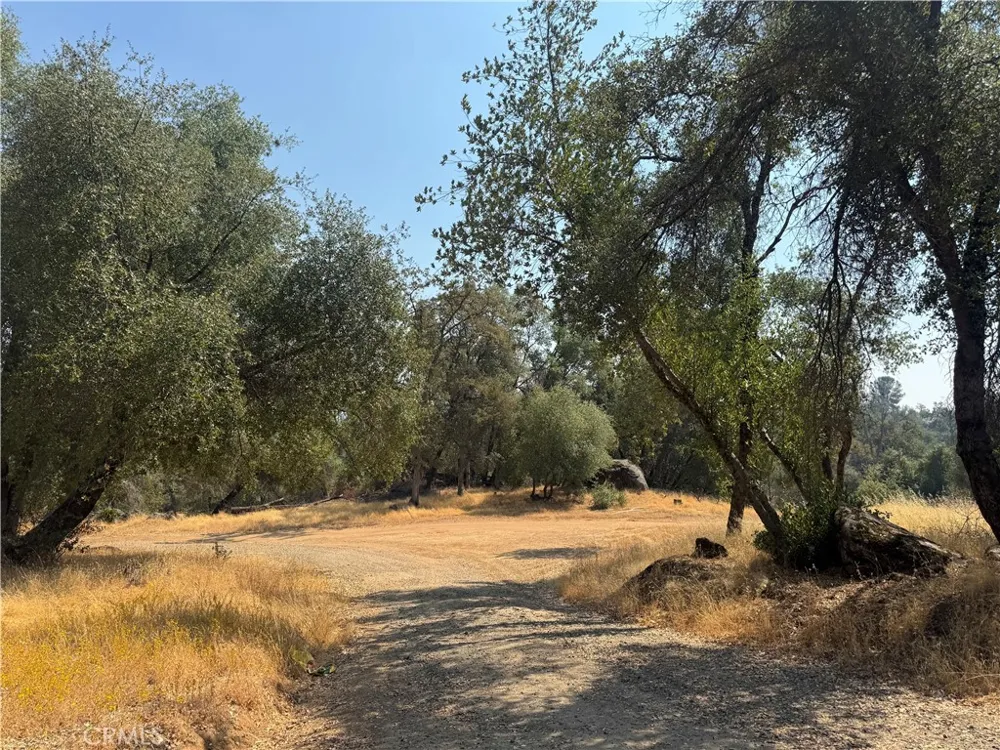 5393 Schafer Rd Mariposa, CA 95338