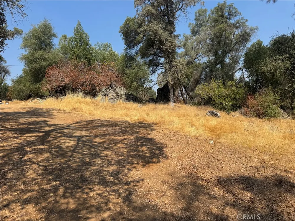 5393 Schafer Rd Mariposa, CA 95338