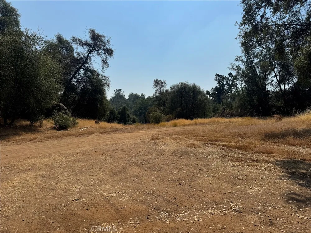 5393 Schafer Rd Mariposa, CA 95338