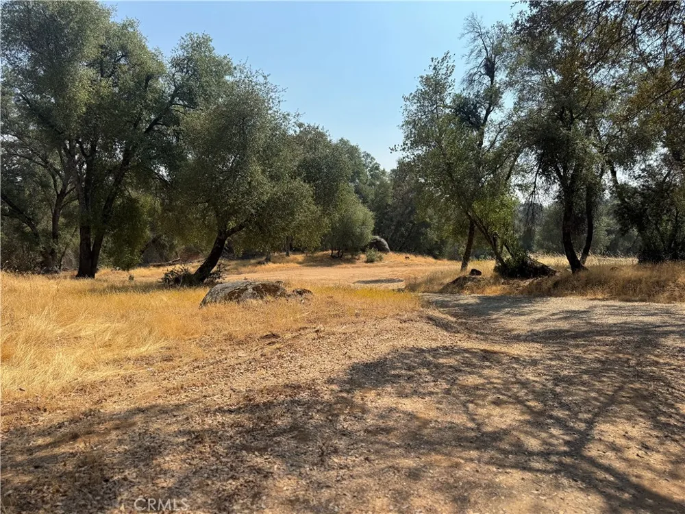 5393 Schafer Rd Mariposa, CA 95338