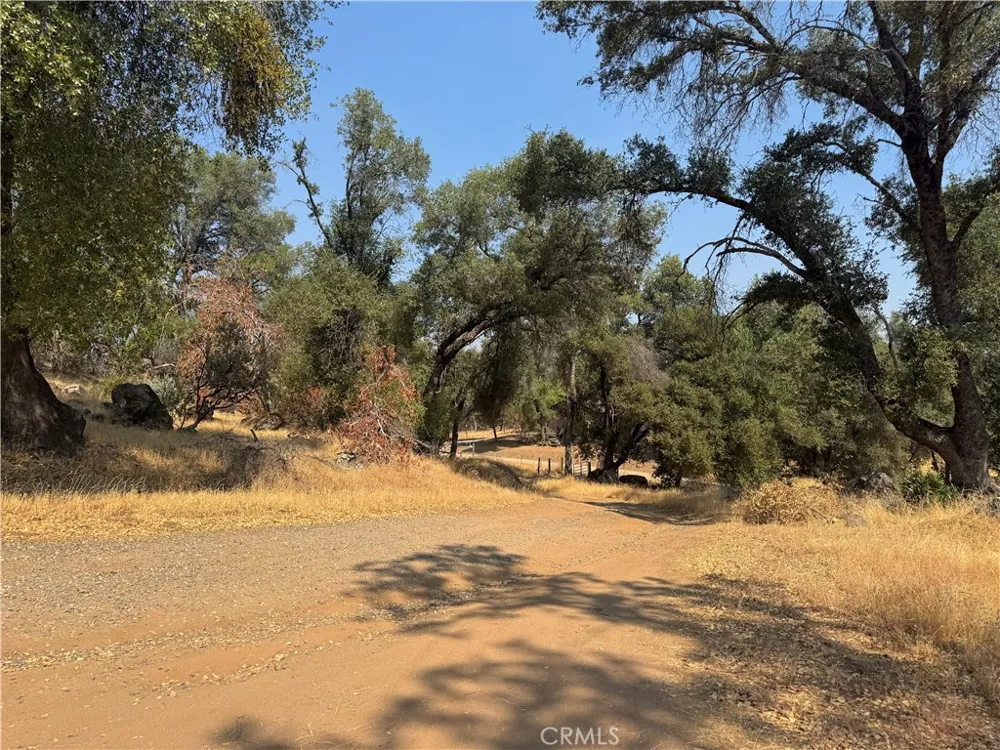 5393 Schafer Rd Mariposa, CA 95338