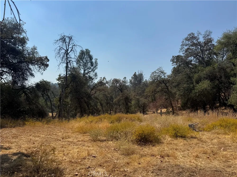 5393 Schafer Rd Mariposa, CA 95338