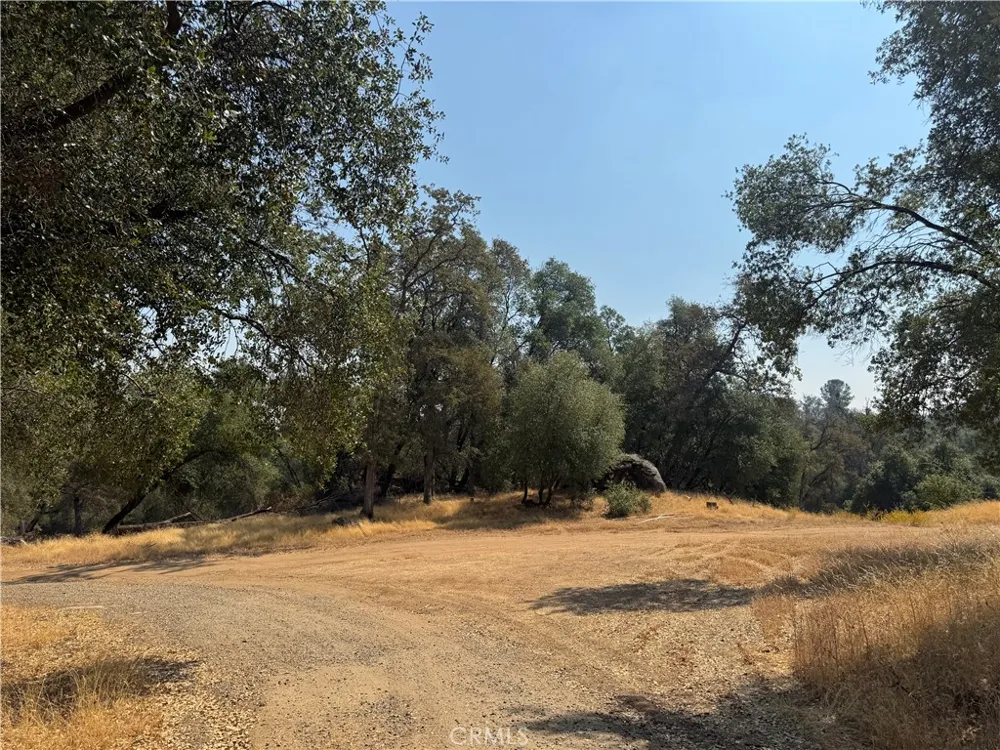 5393 Schafer Rd Mariposa, CA 95338