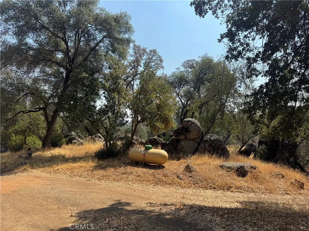 5393 Schafer Rd Mariposa, CA 95338