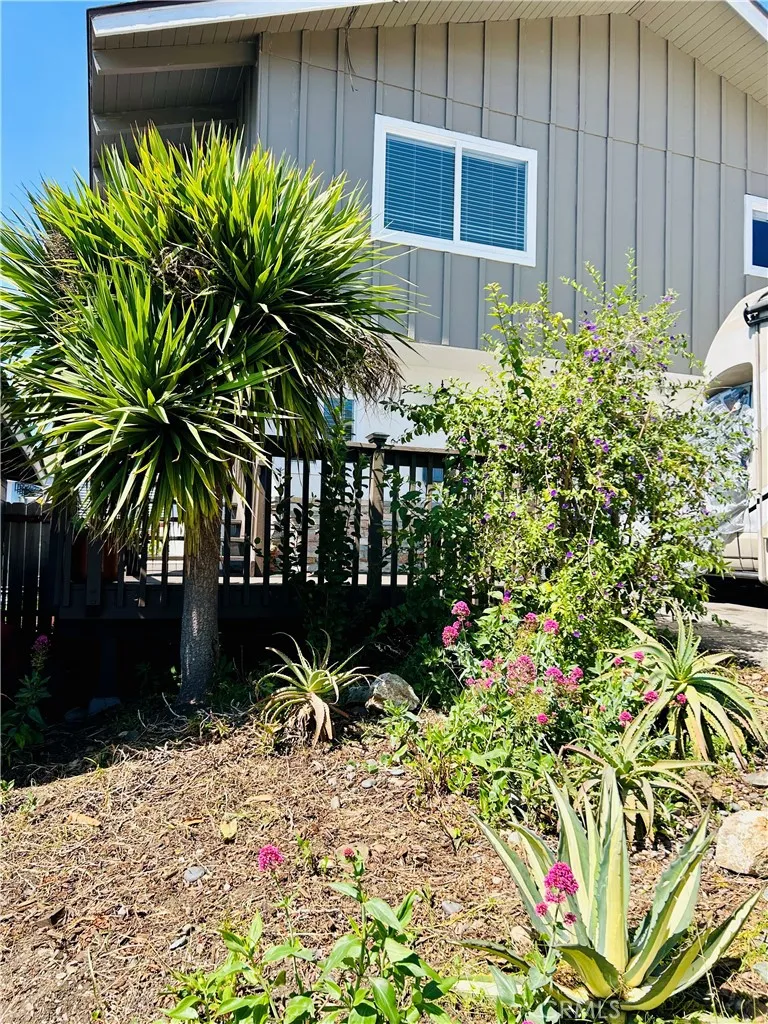 455 Orcas Morro Bay, CA 93442
