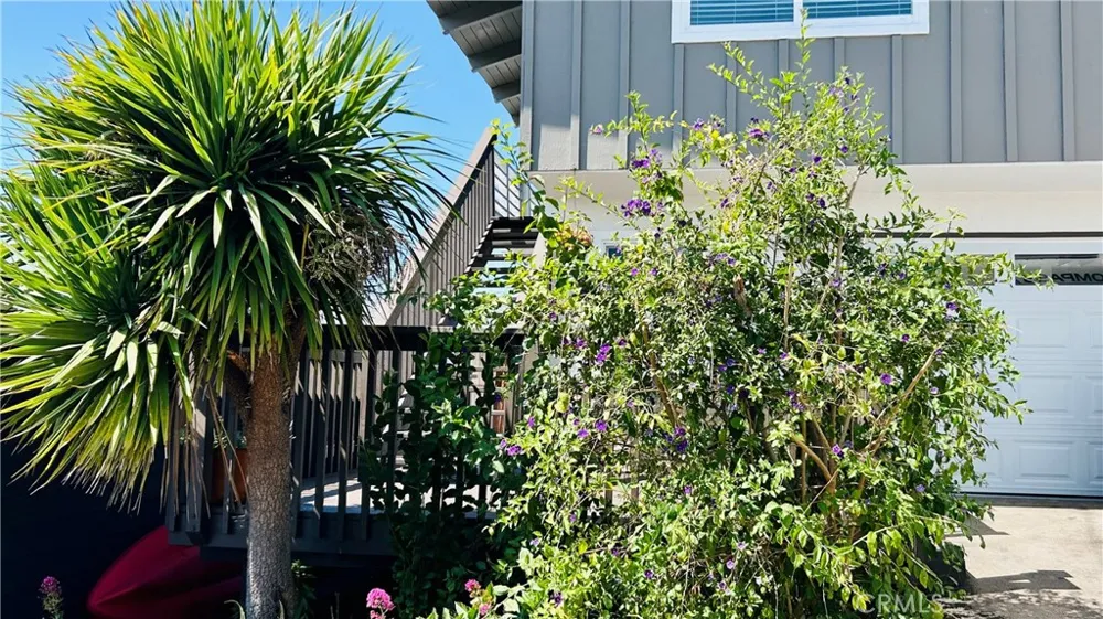 455 Orcas Morro Bay, CA 93442