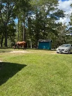 117 Kalyn Road Huntsville, TX 77340