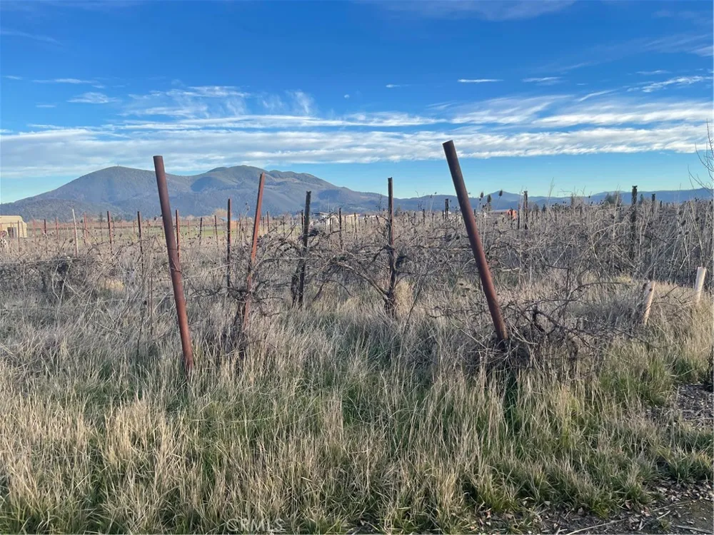 3035 Soda Bay Road Lakeport, CA 95453