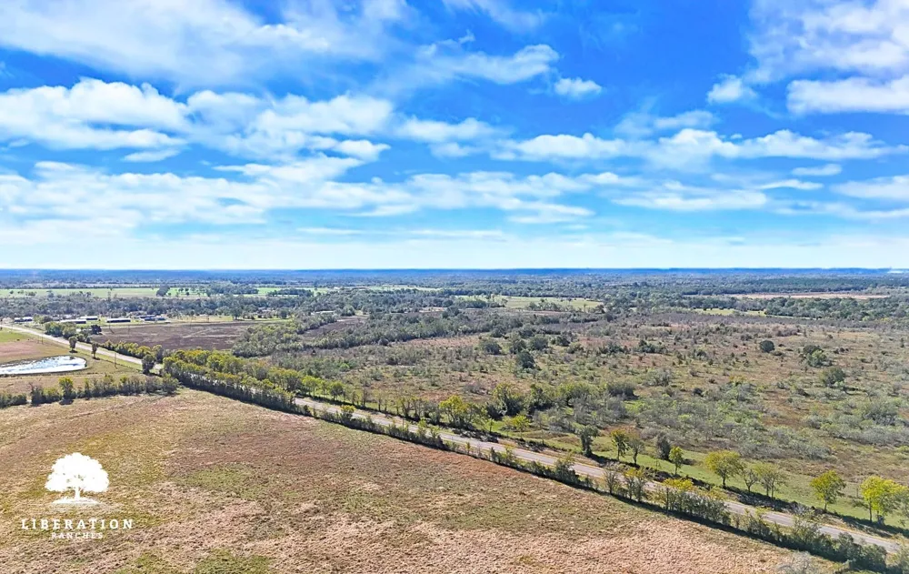 13316 Farm To Market Rd 2620 Tract 8 Bedias, TX 77831