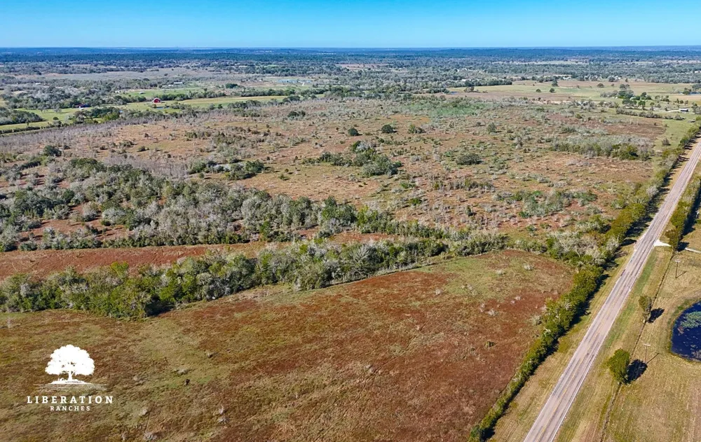 13316 Farm To Market Rd 2620 Tract 8 Bedias, TX 77831
