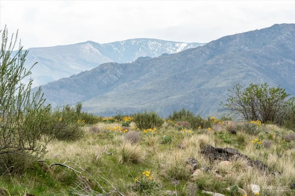 0 Brook Trout Lane #Lot 1 Methow, WA 98834