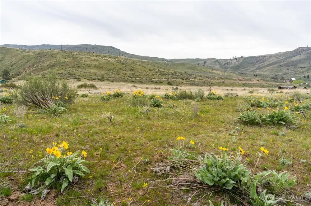 0 Brook Trout Lane #Lot 1 Methow, WA 98834