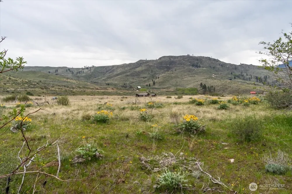 0 Brook Trout Lane #Lot 1 Methow, WA 98834