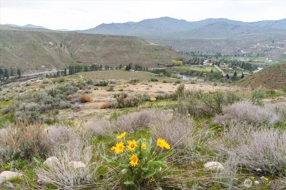 0 Brook Trout Lane #Lot 1 Methow, WA 98834
