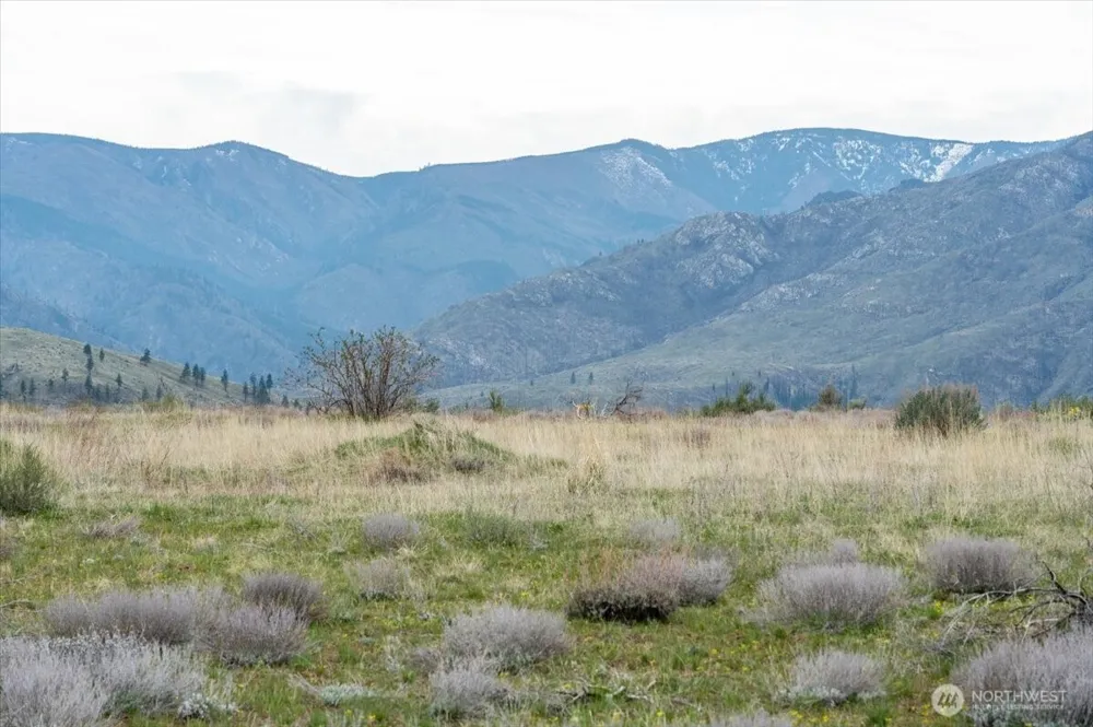 0 Brook Trout Lane #Lot 1 Methow, WA 98834