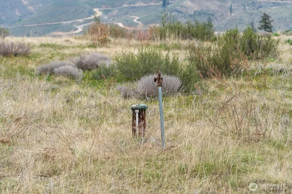 0 Brook Trout Lane #Lot 1 Methow, WA 98834