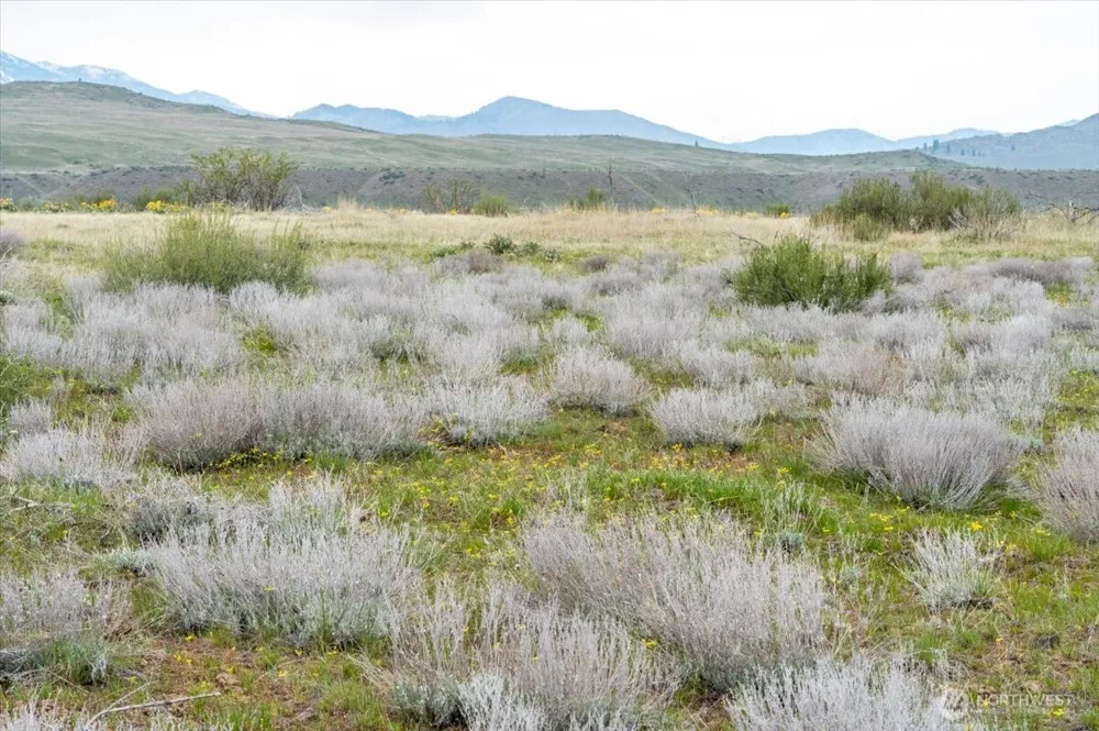 0 Brook Trout Lane #Lot 1 Methow, WA 98834