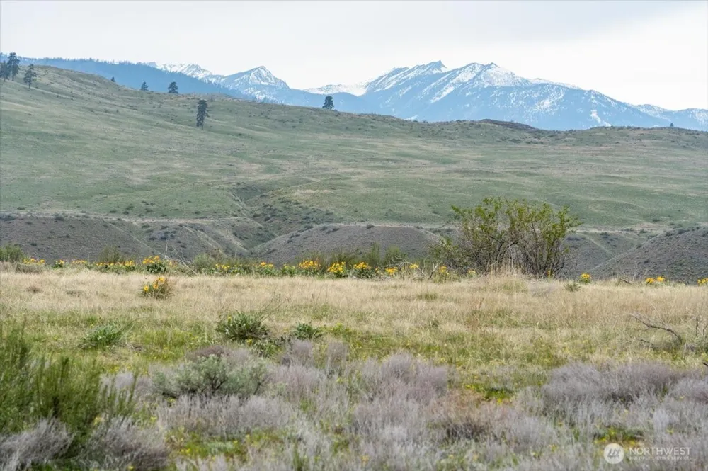 0 Brook Trout Lane #Lot 1 Methow, WA 98834