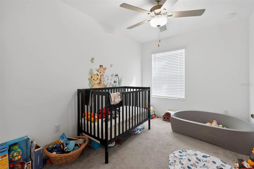 32021 POWDERPUFF MIMOSA DRIVE San Antonio, FL 33576