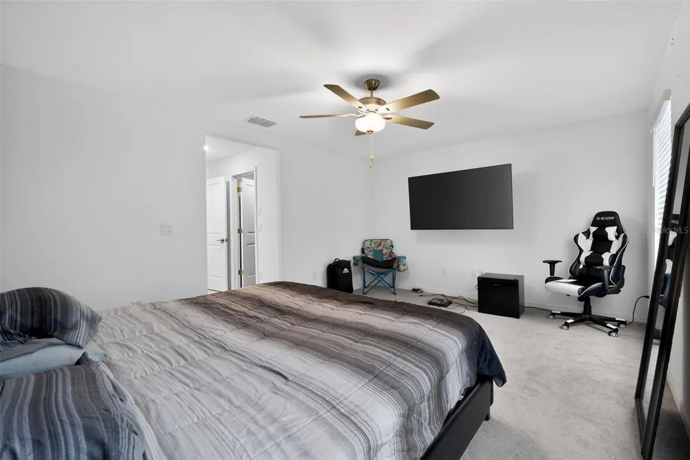 32021 POWDERPUFF MIMOSA DRIVE San Antonio, FL 33576