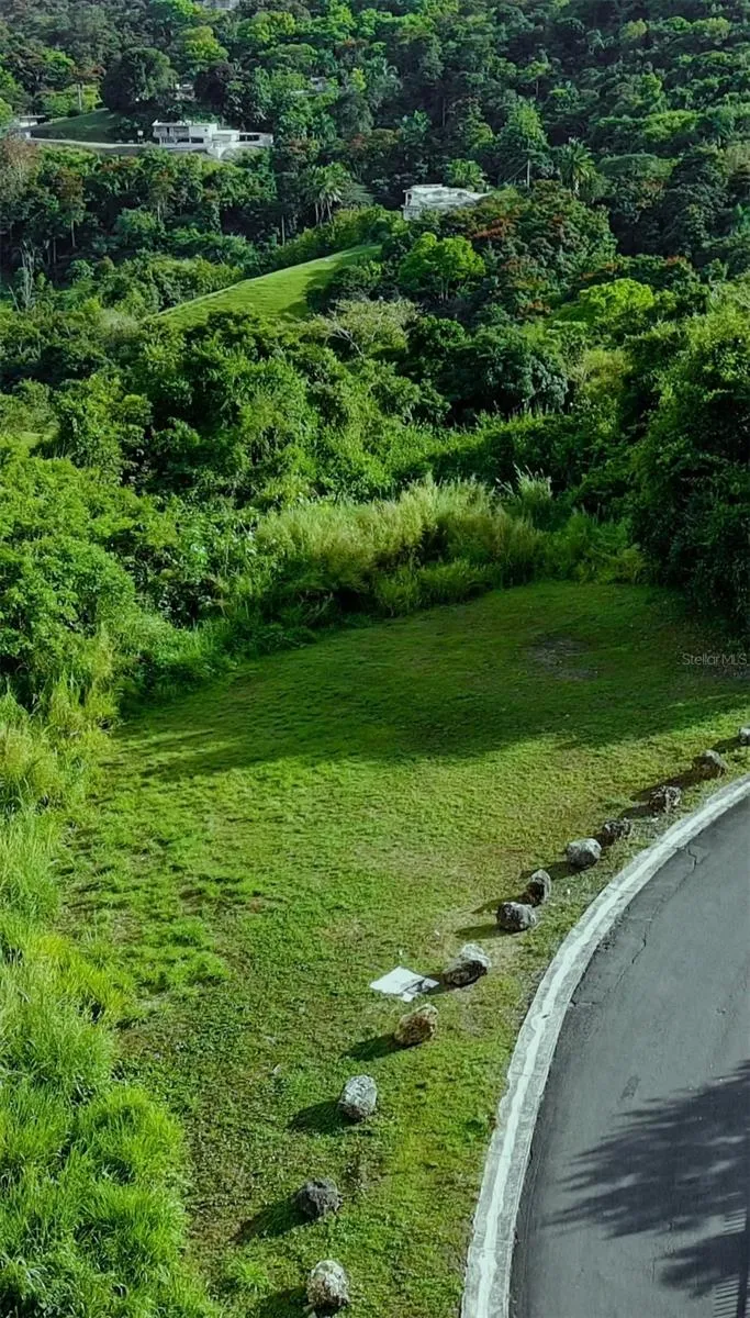 CARR 185 LOTE F BO CARRUZOS Carolina, PR 00987