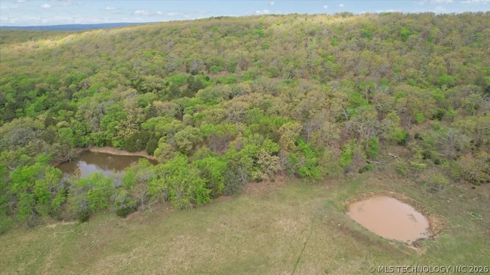 1 E Fred's Fish Camp Road Stringtown, OK 74569