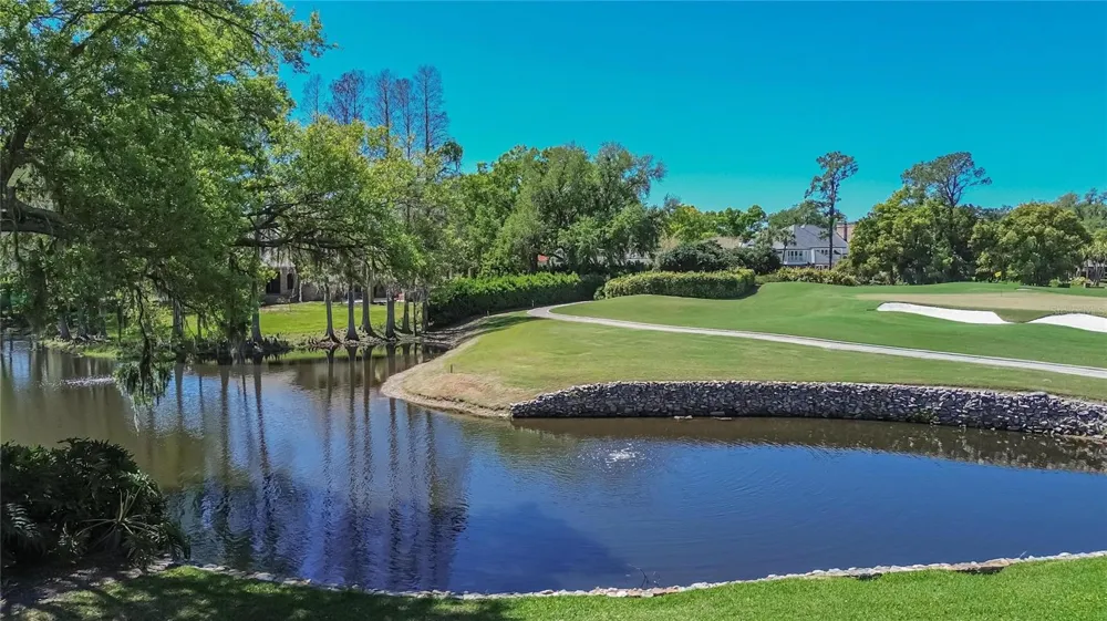 1043 GUISANDO DE AVILA Tampa, FL 33613