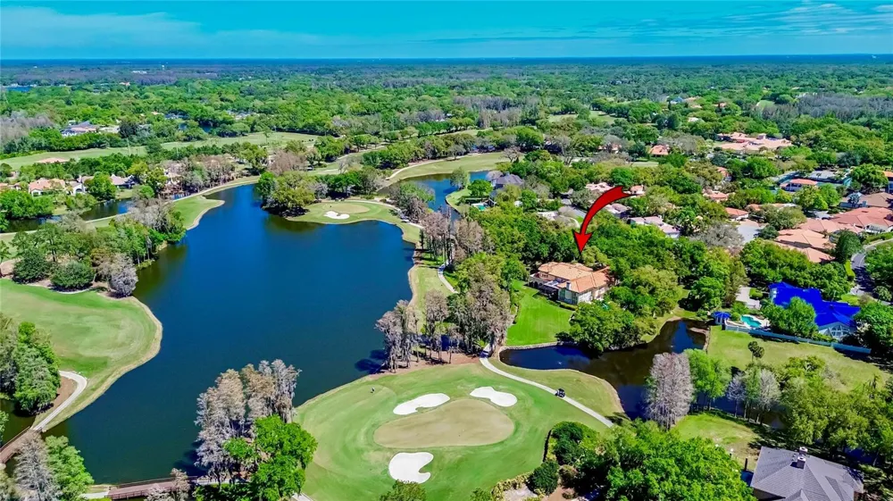 1043 GUISANDO DE AVILA Tampa, FL 33613