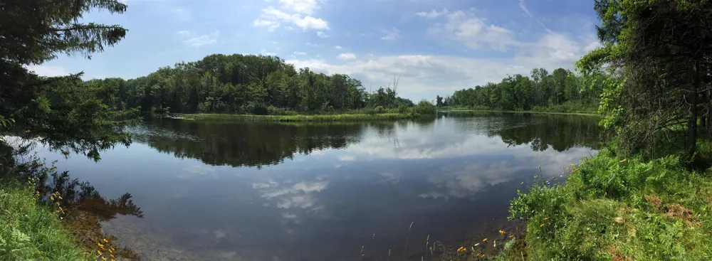 4011 Sandall Road Maple Ridge Township, MI 49707