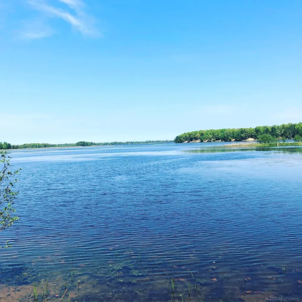 4011 Sandall Road Maple Ridge Township, MI 49707